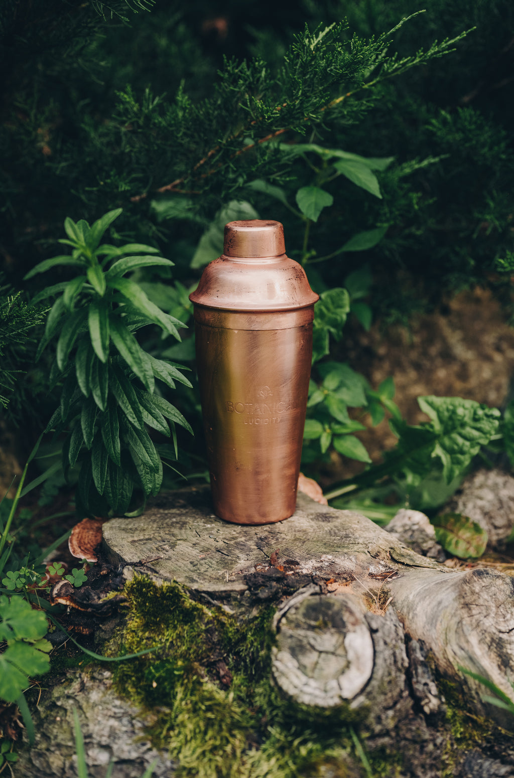 Copper Elixir Shaker