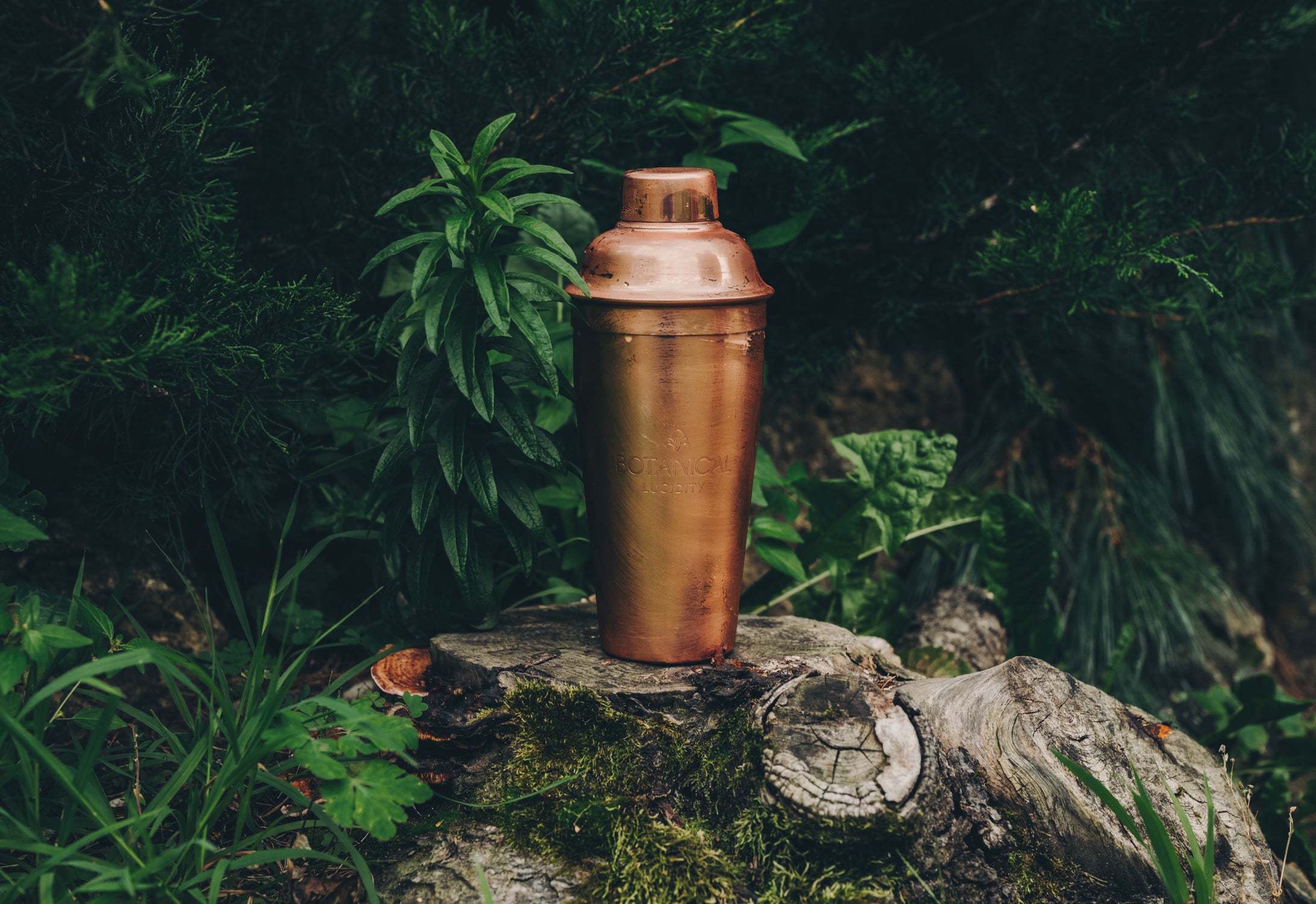 Copper Elixir Shaker